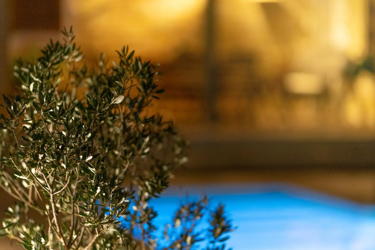 Villa Kalliopi Ιncreteble Cretan Resindences Collection Xerokampos  Exteriér fotografie