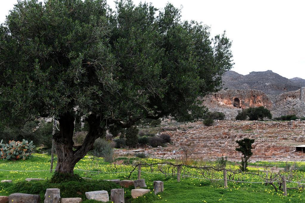 Villa Kalliopi Ιncreteble Cretan Resindences Collection Xerokampos  Exteriér fotografie