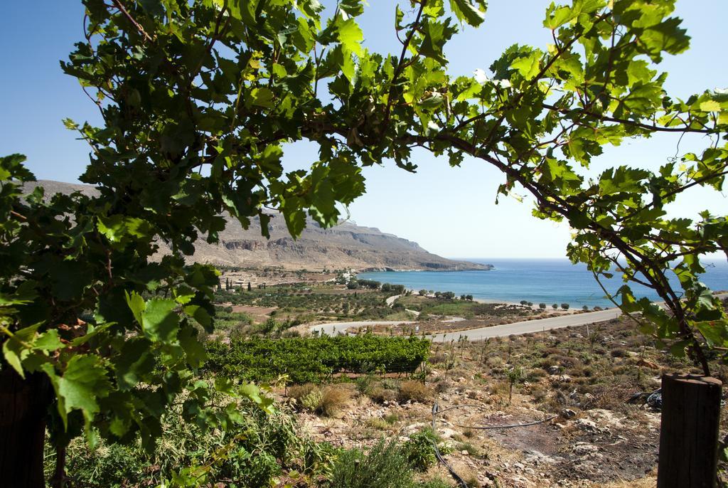 Villa Kalliopi Ιncreteble Cretan Resindences Collection Xerokampos  Exteriér fotografie