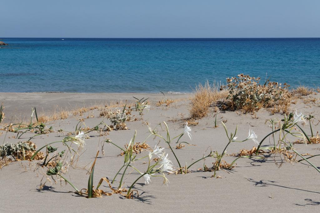 Villa Kalliopi Ιncreteble Cretan Resindences Collection Xerokampos  Exteriér fotografie