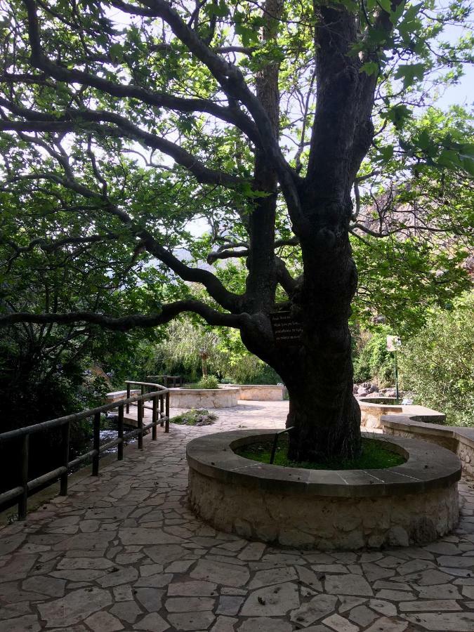 Villa Kalliopi Ιncreteble Cretan Resindences Collection Xerokampos  Exteriér fotografie